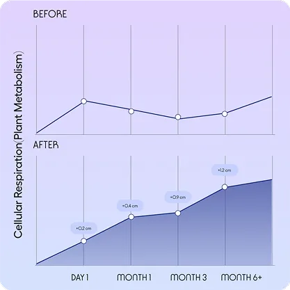 Menopause Image 1